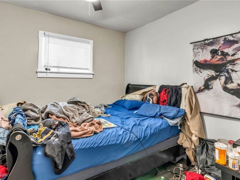 99 Ellenwood Avenue, Bedford, OH 44146 Photo 21