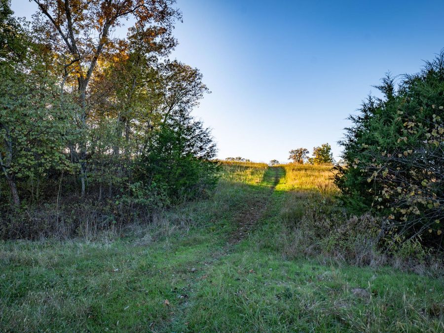 Property Image 37