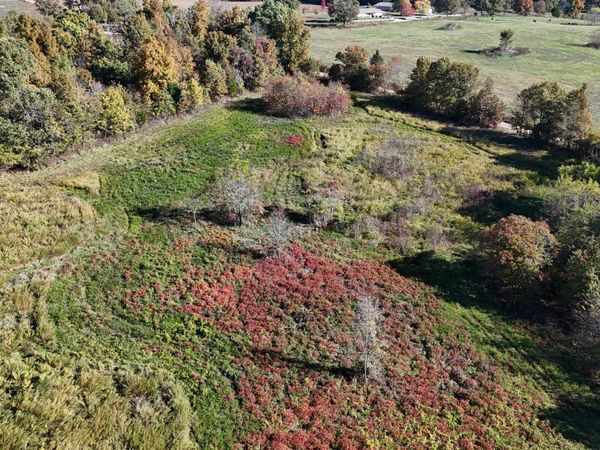 000 County Road 135, Norwood, MO 65717