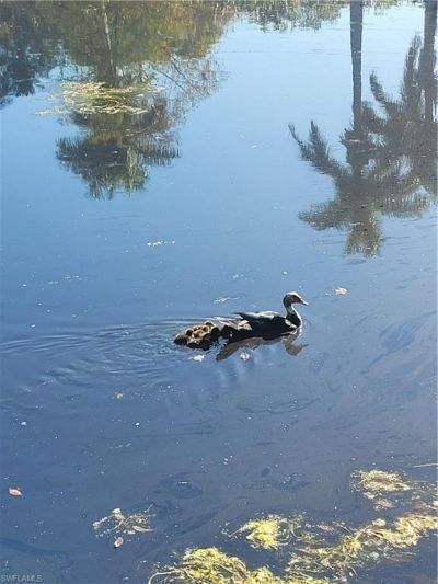 870 Forest Ave, Naples, FL 34102 Photo