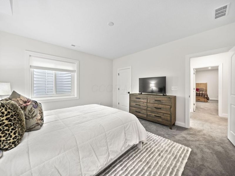 3151 Stogen Court, Delaware, OH 43015 Photo 49