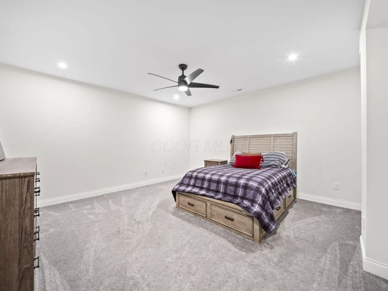 3151 Stogen Court, Delaware, OH 43015 Photo 52