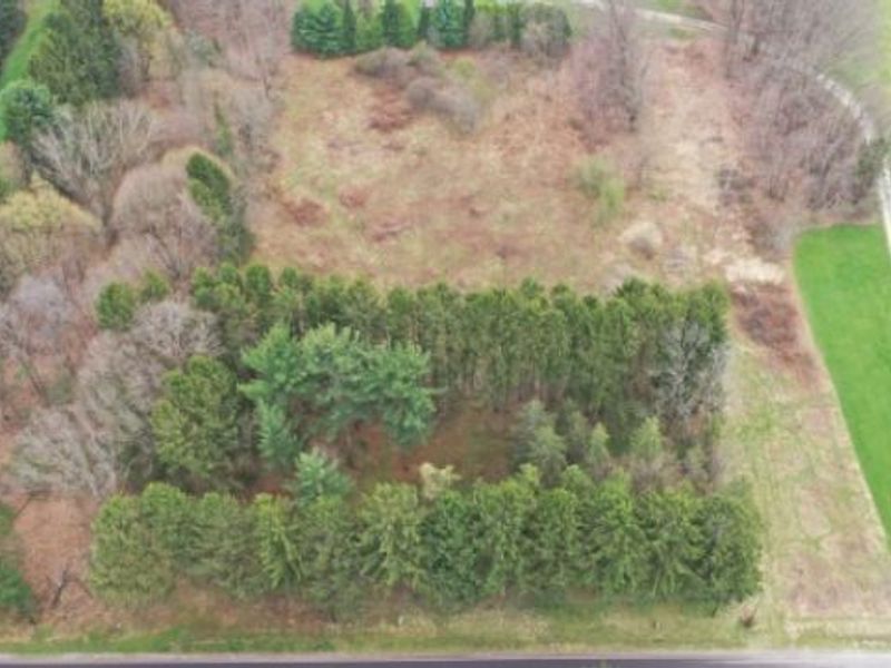 246 Ridgewood Road, Medina, OH 44256 Photo 11