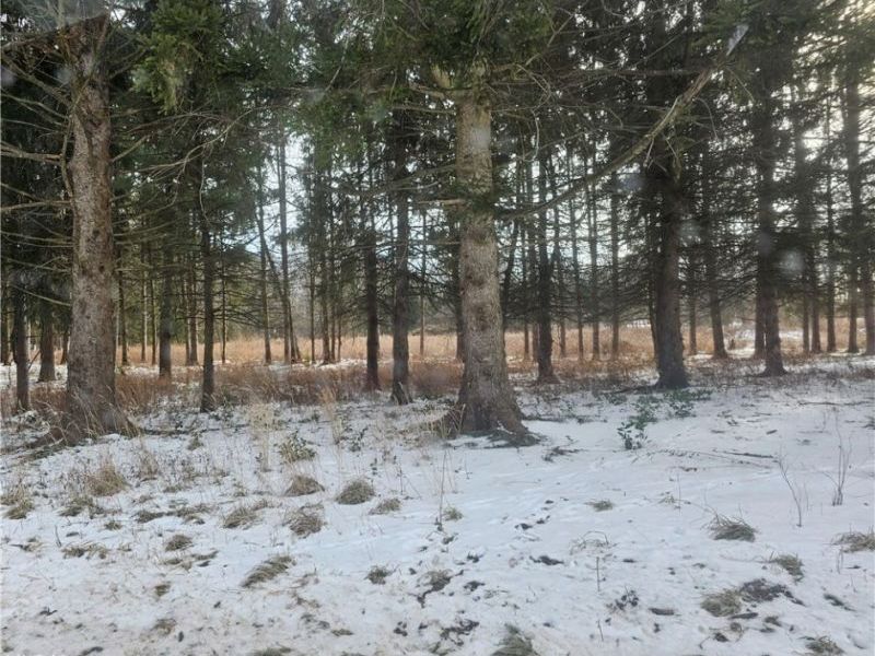 246 Ridgewood Road, Medina, OH 44256 Photo 2