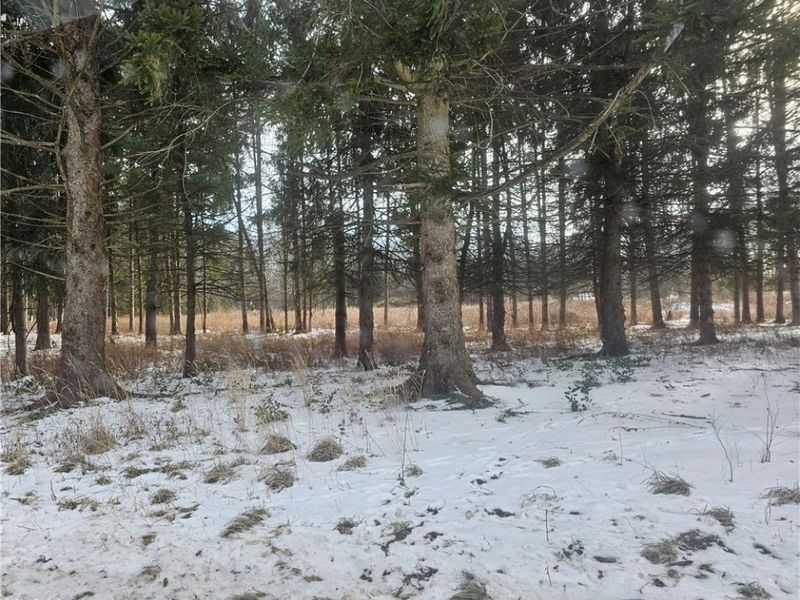 246 Ridgewood Road, Medina, OH 44256 Photo 3