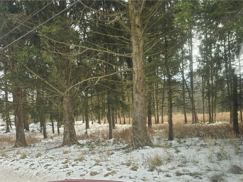 246 Ridgewood Road, Medina, OH 44256 Photo 5