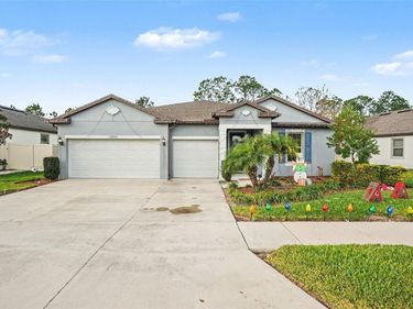 12593 PALAPA LOOP, SPRING HILL, FL 34610