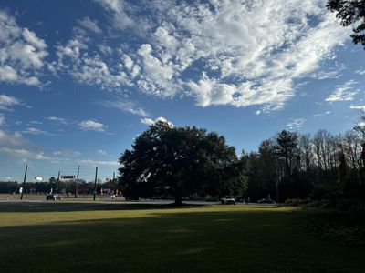 12703 Lowcountry Highway, Ruffin, SC 29475