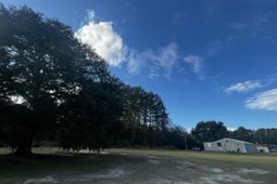 12703 Lowcountry Highway photo 4