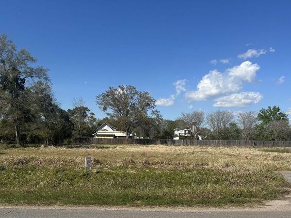 0 Brinks Willis Road, Foley, AL 36535