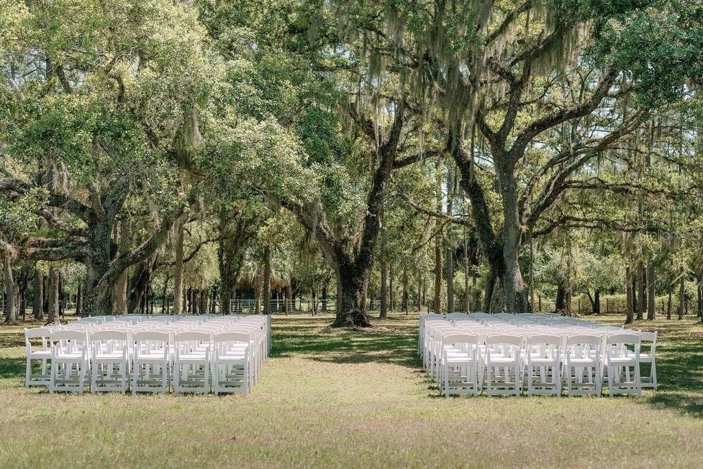 12615 River Road, Myakka City, FL 34251 Photo