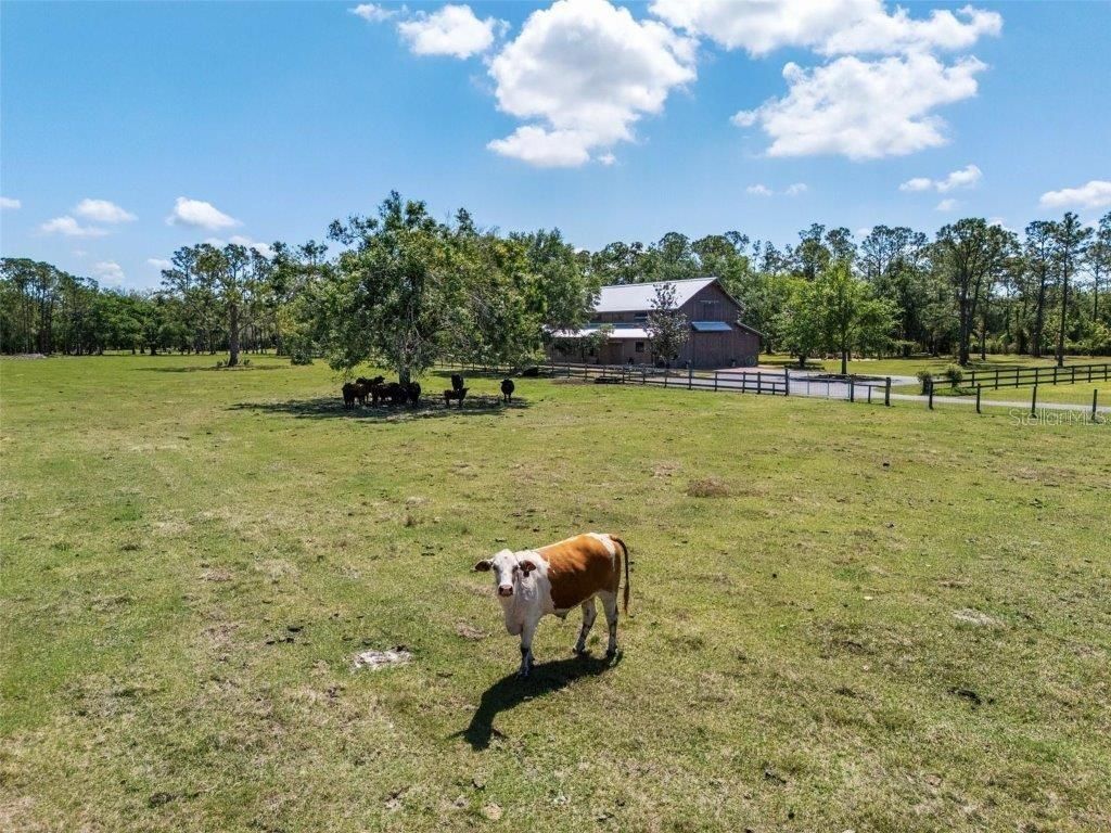 12615 River Road, Myakka City, FL 34251 Photo