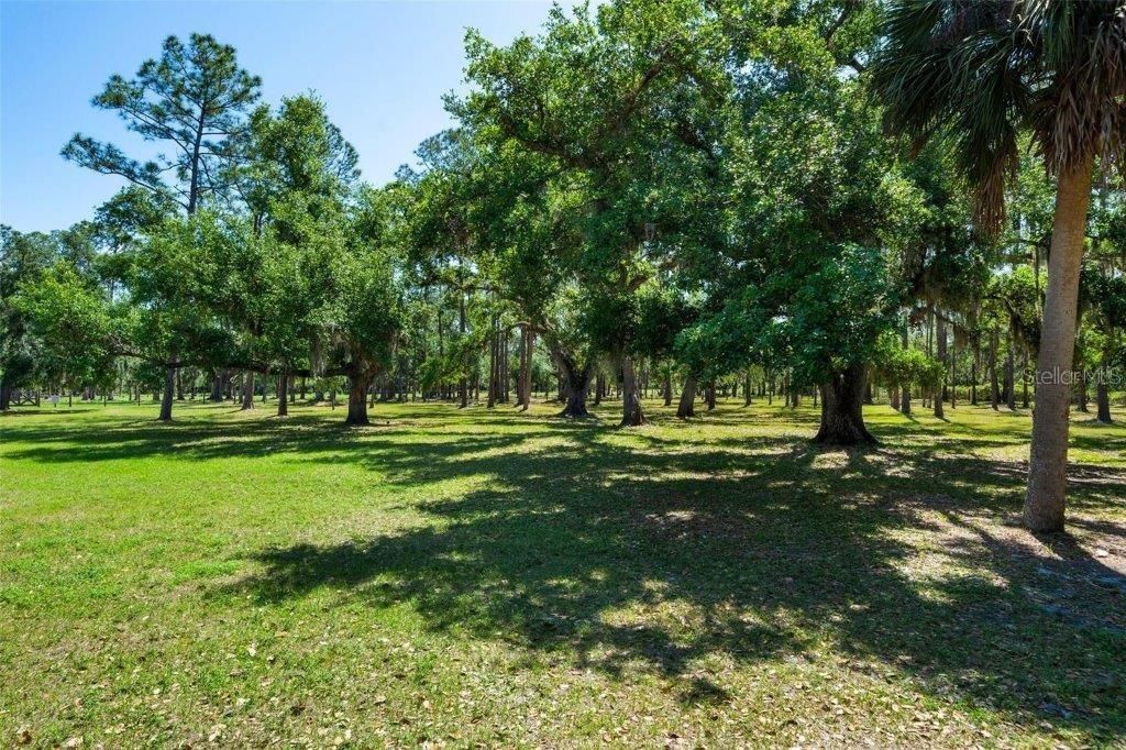 12615 River Road, Myakka City, FL 34251 Photo