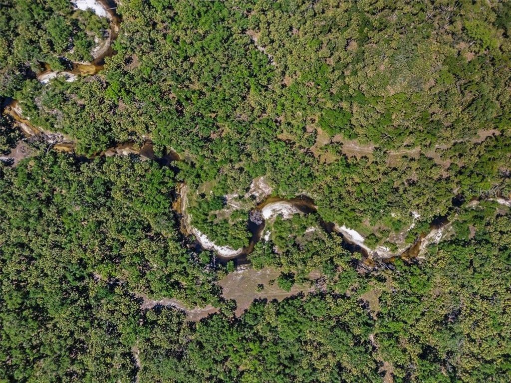 12615 River Road, Myakka City, FL 34251 Photo