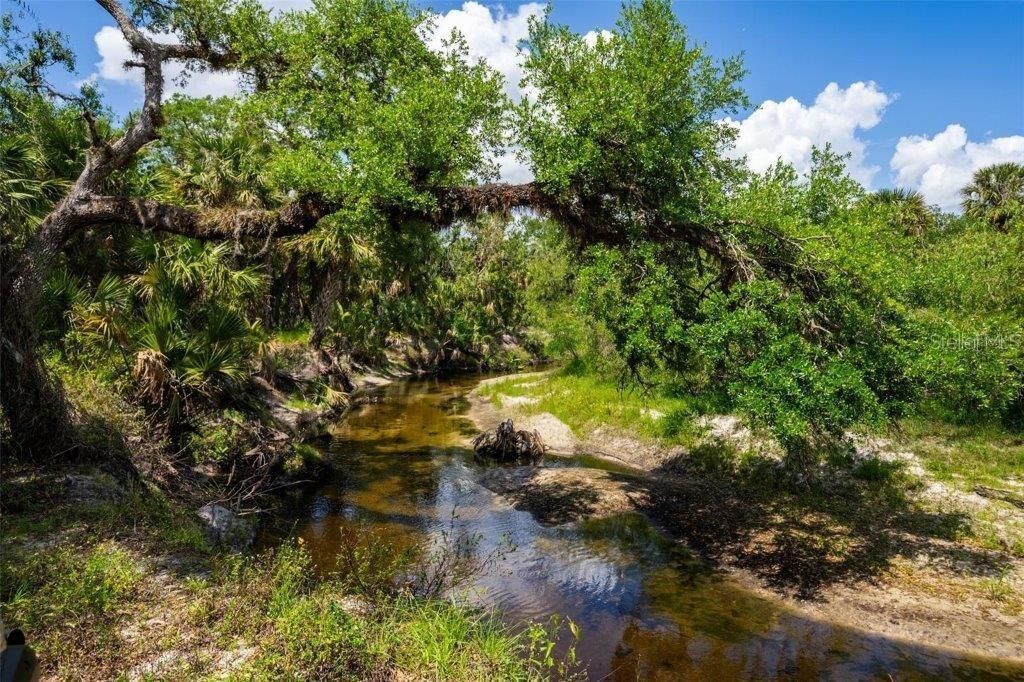 12615 River Road, Myakka City, FL 34251 Photo