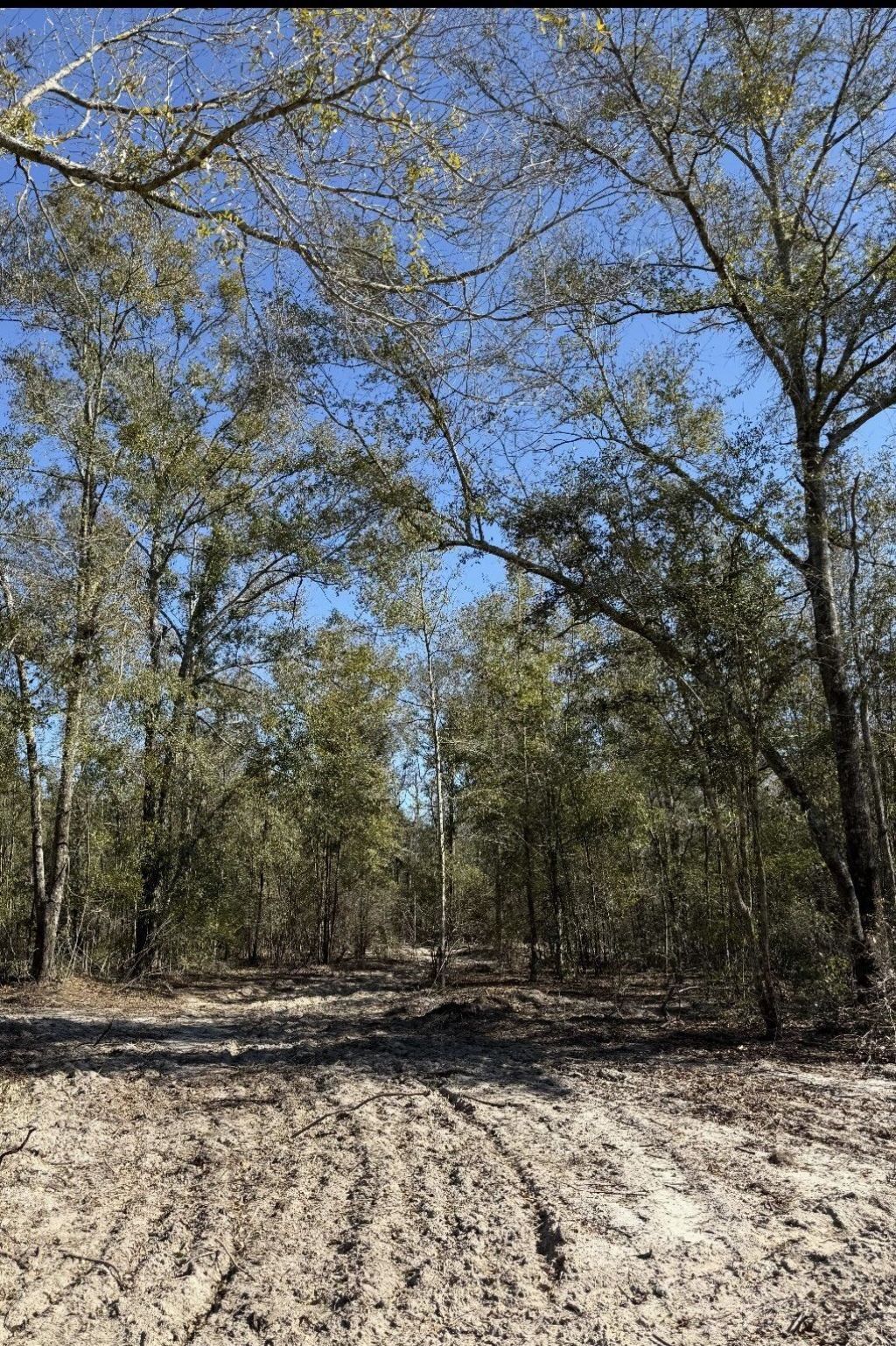 Parcel 2 E Us 90 Highway, Lee, FL 00000 Photo