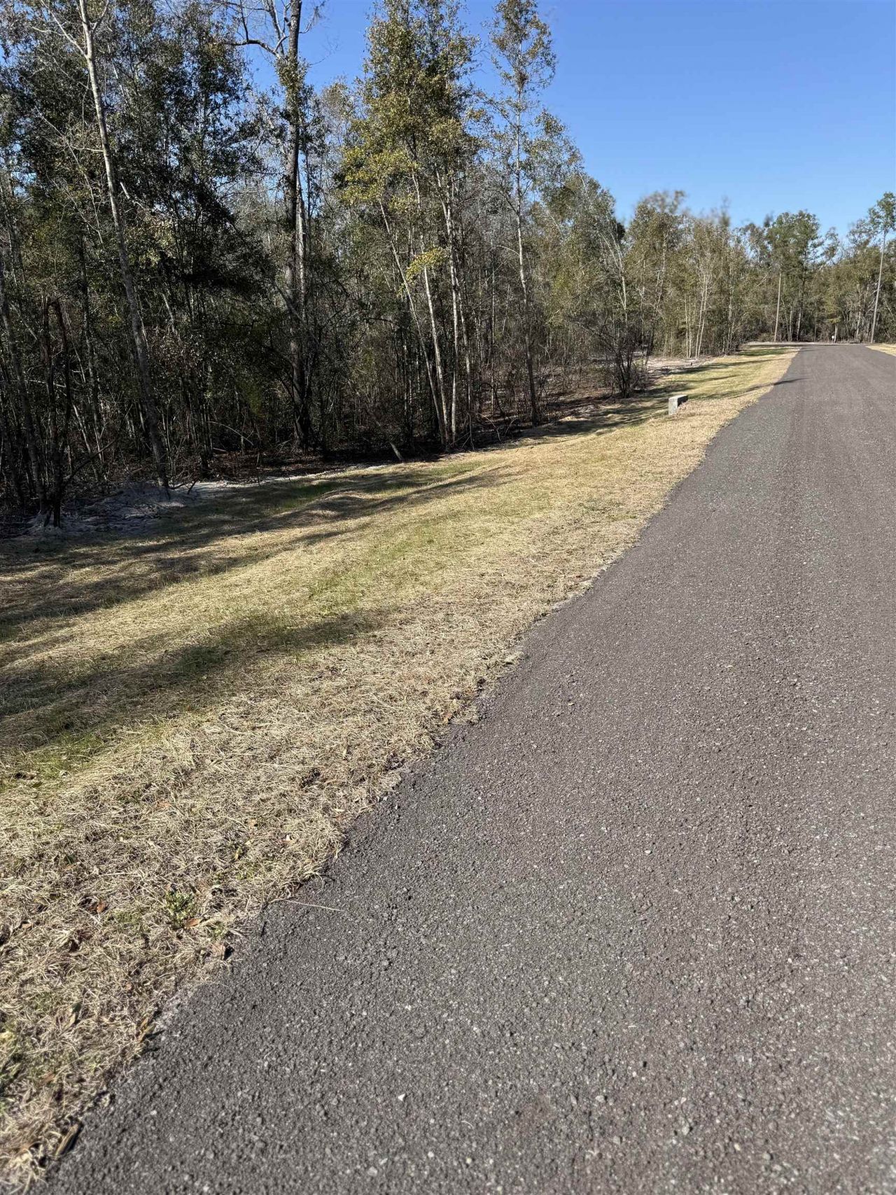 Parcel 2 E Us 90 Highway, Lee, FL 00000 Photo