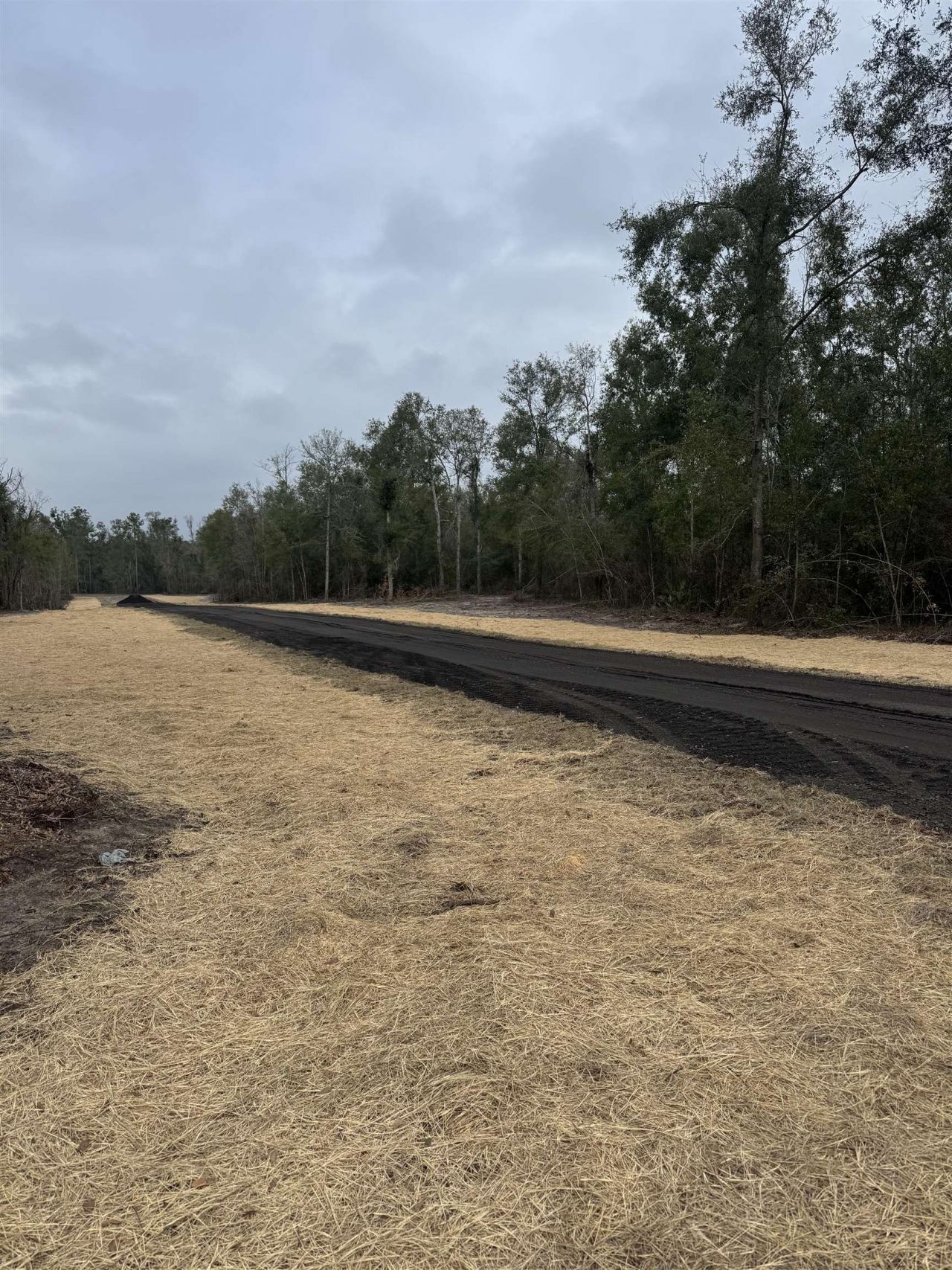 Parcel 2 E Us 90 Highway, Lee, FL 00000 Photo