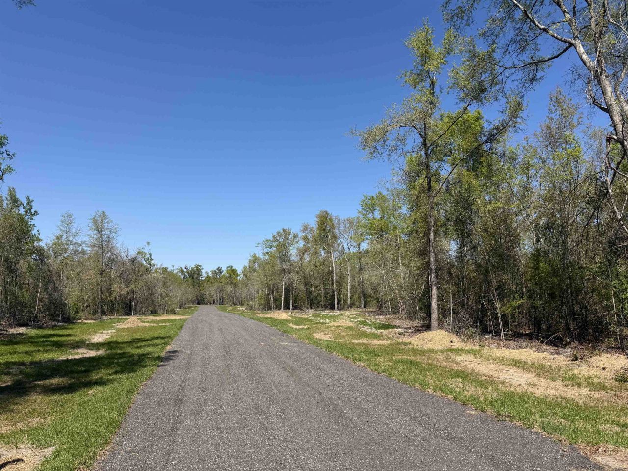 Parcel 2 E Us 90 Highway, Lee, FL 00000 Photo