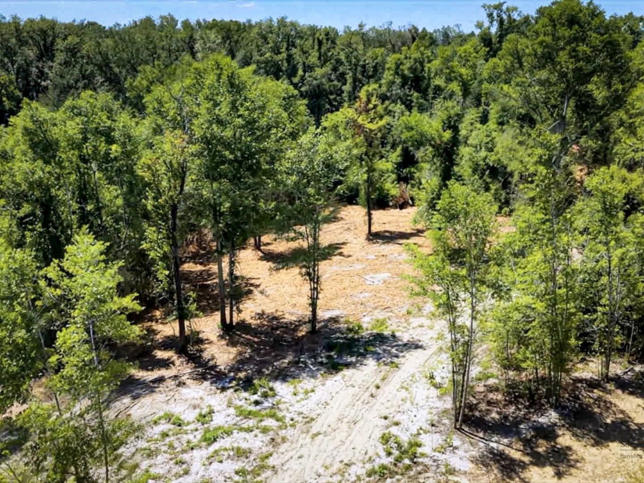 Parcel 2 E Us 90 Highway, Lee, FL 00000 Photo