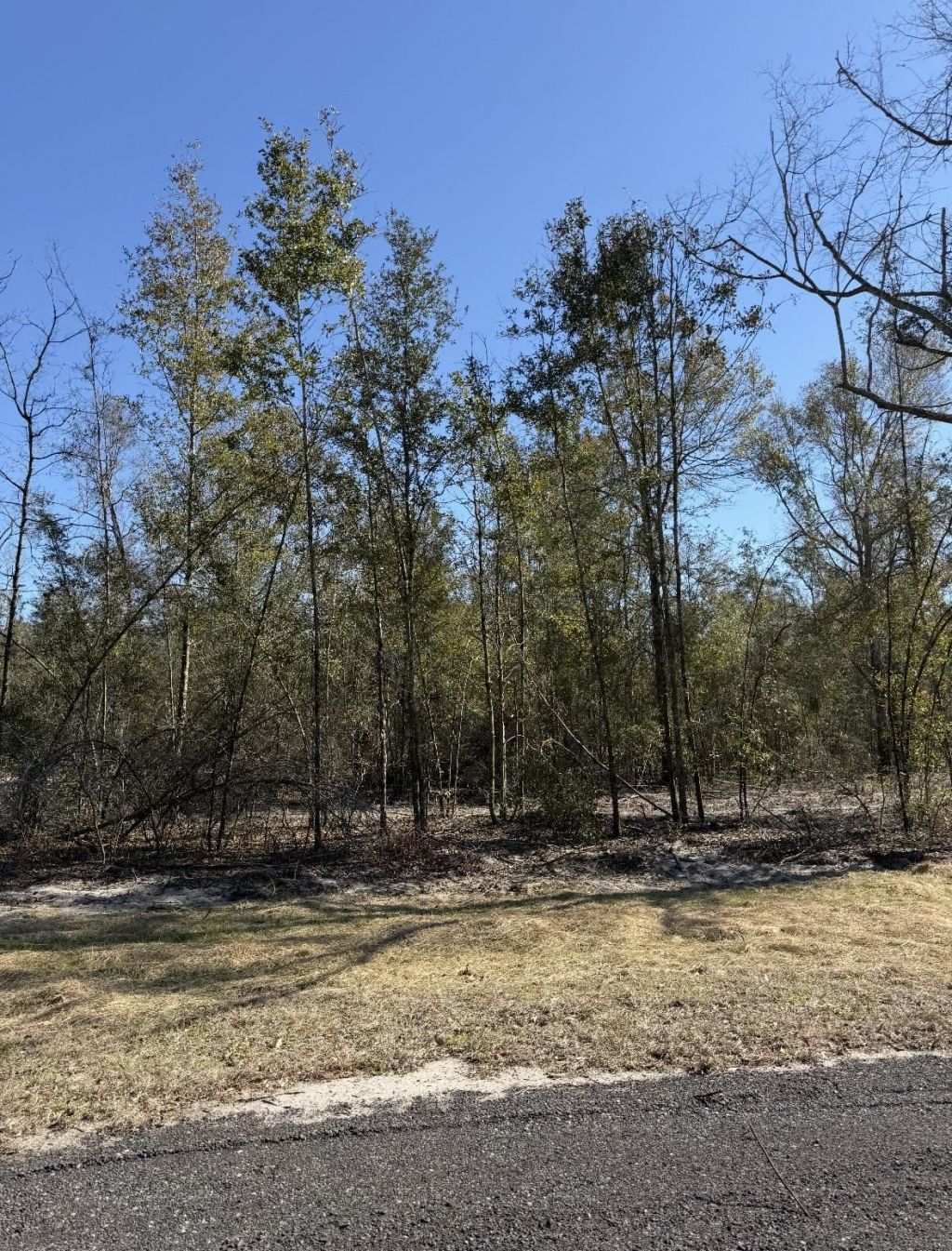 Parcel 2 E Us 90 Highway, Lee, FL 00000 Photo