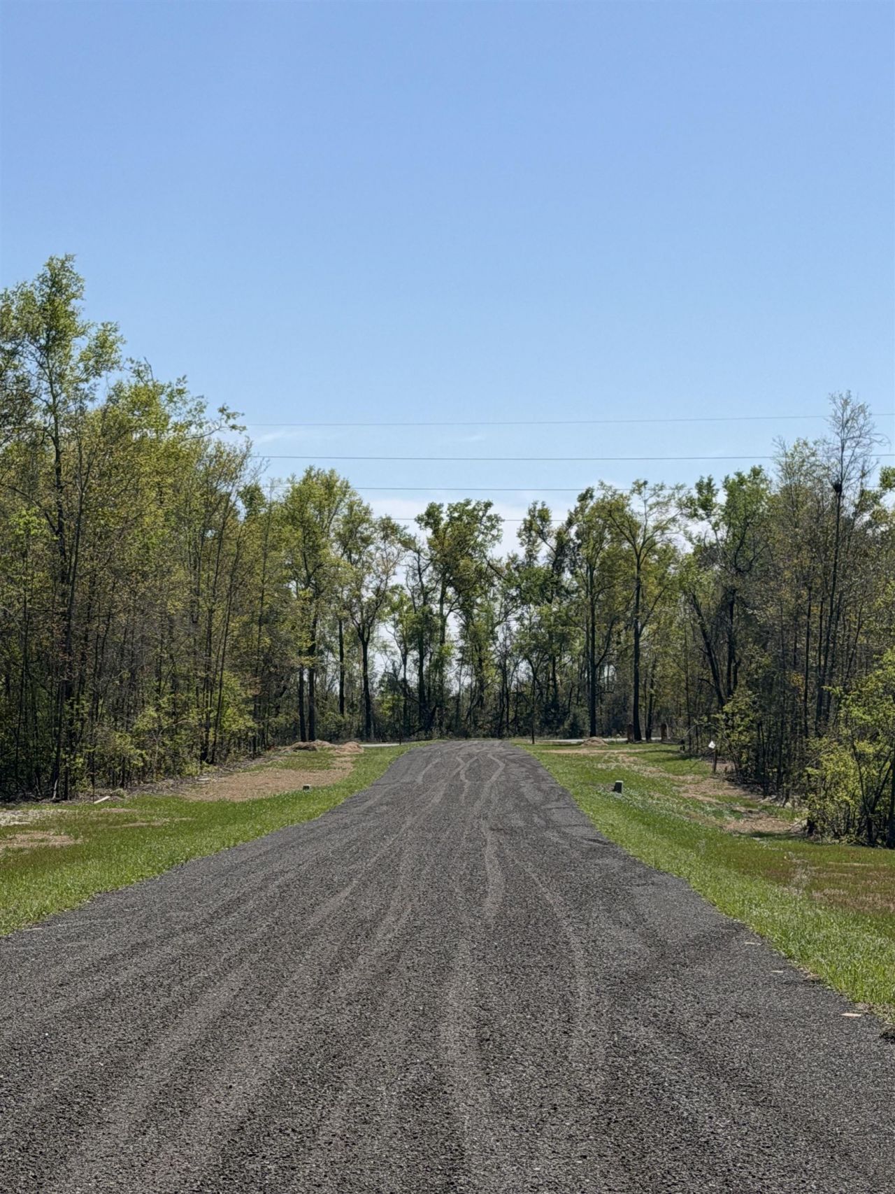 Parcel 1 E Us 90 Highway, Lee, FL 00000 Photo