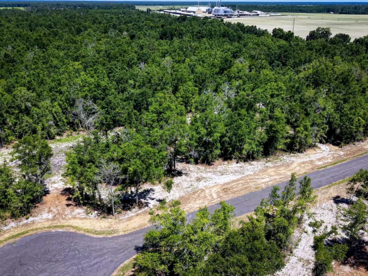 Parcel 1 E Us 90 Highway, Lee, FL 00000 Photo
