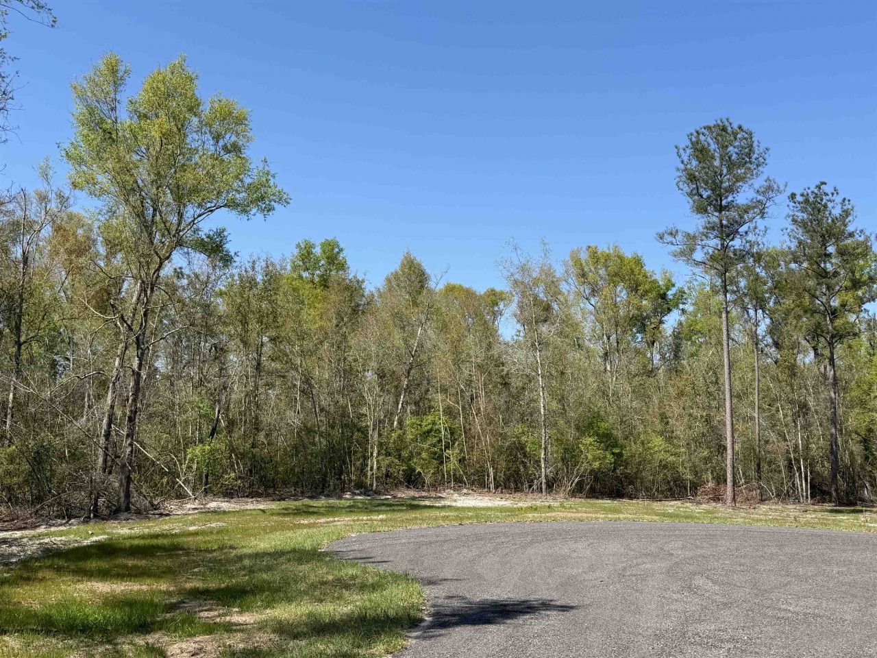 Parcel 1 E Us 90 Highway, Lee, FL 00000 Photo