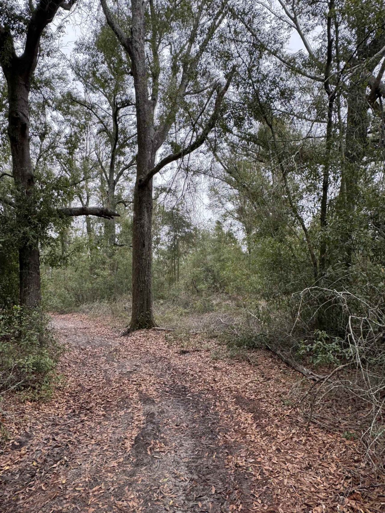 Parcel 1 E Us 90 Highway, Lee, FL 00000 Photo