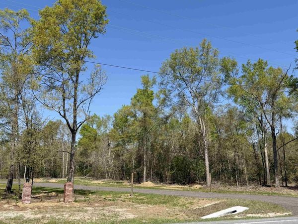 Parcel 6 E US 90 Highway, Lee, FL