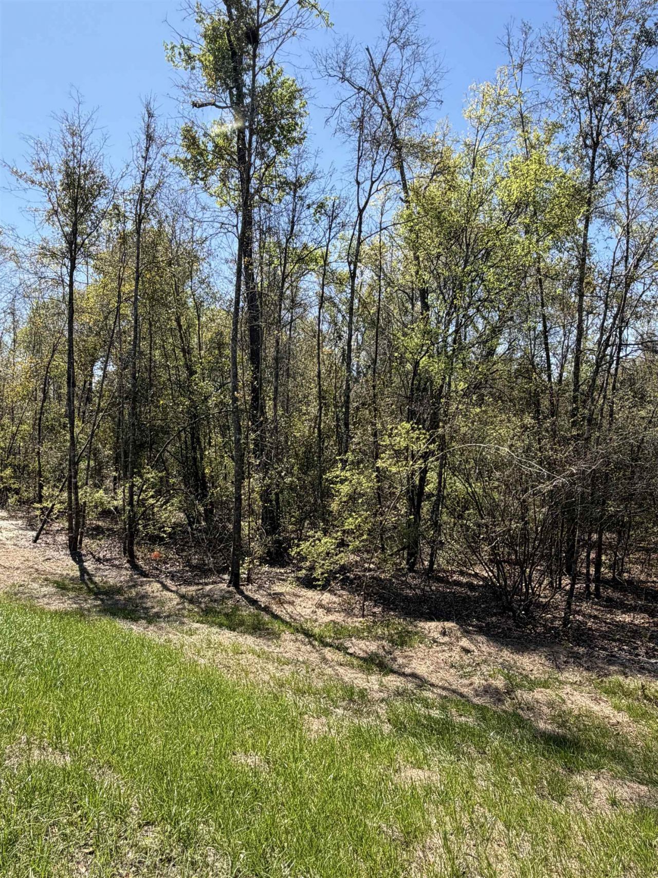 Parcel 6 E Us 90 Highway, Lee, FL 00000 Photo