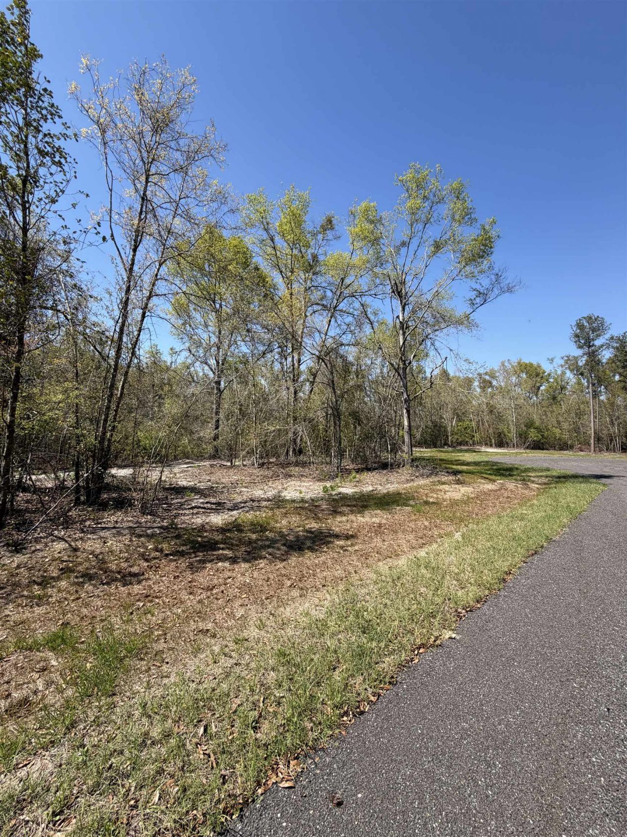 Parcel 6 E Us 90 Highway, Lee, FL 00000 Photo