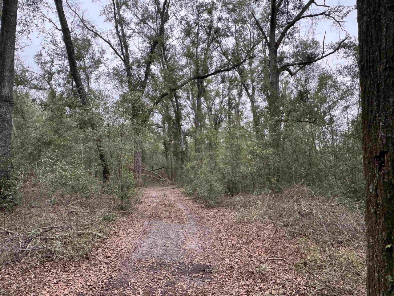 Parcel 6 E Us 90 Highway, Lee, FL 00000 Photo