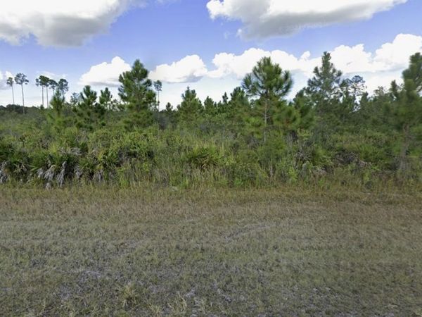 1024 CALLIANDRA DRIVE, INDIAN LAKE ESTATES, FL 33855