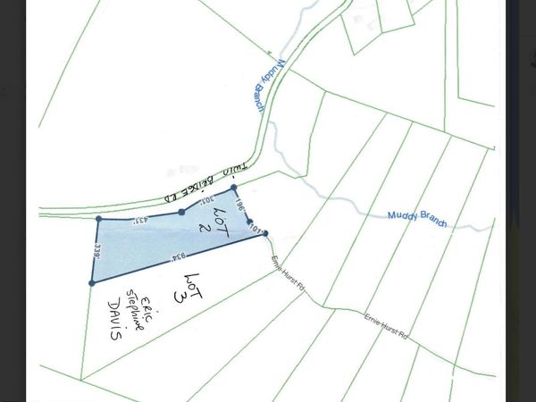 116 Ernie Hurst Rd, Deer Lodge, TN 37726