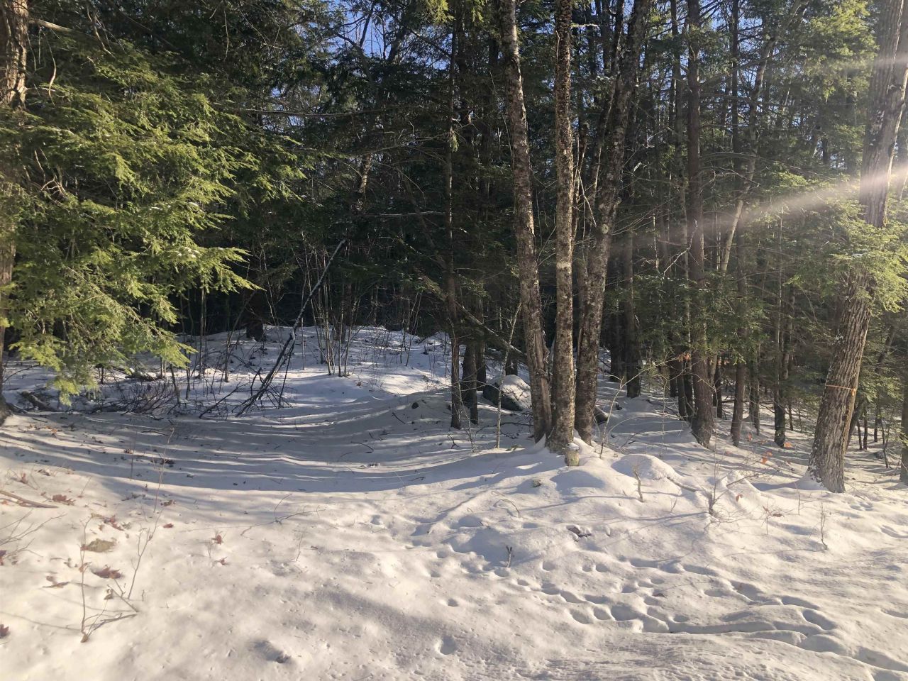 0 Chesterfield Road, Keene, NH 03431 Main Photo