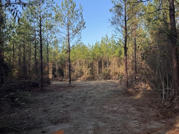Pat Hickman Road, Perkinston, MS 39573