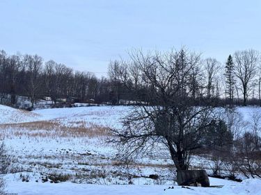 1021 Clover Run Road, Montrose, WV 26283