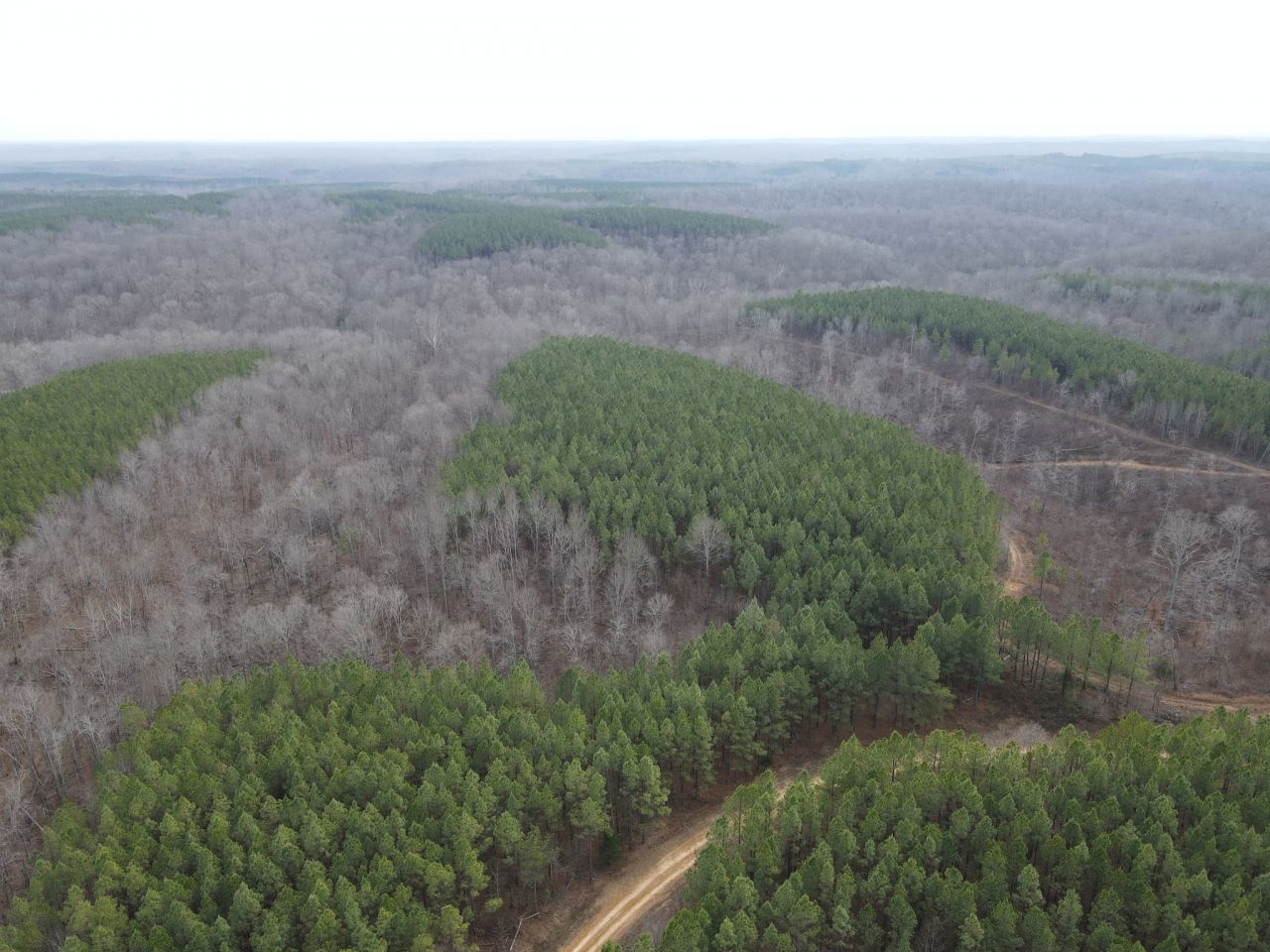 0 North Fork, Lot #2, Stewart, TN 37175 Main Photo