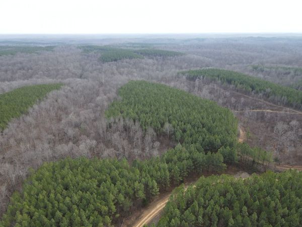0 North Fork, Unit 2, Stewart, TN 37175