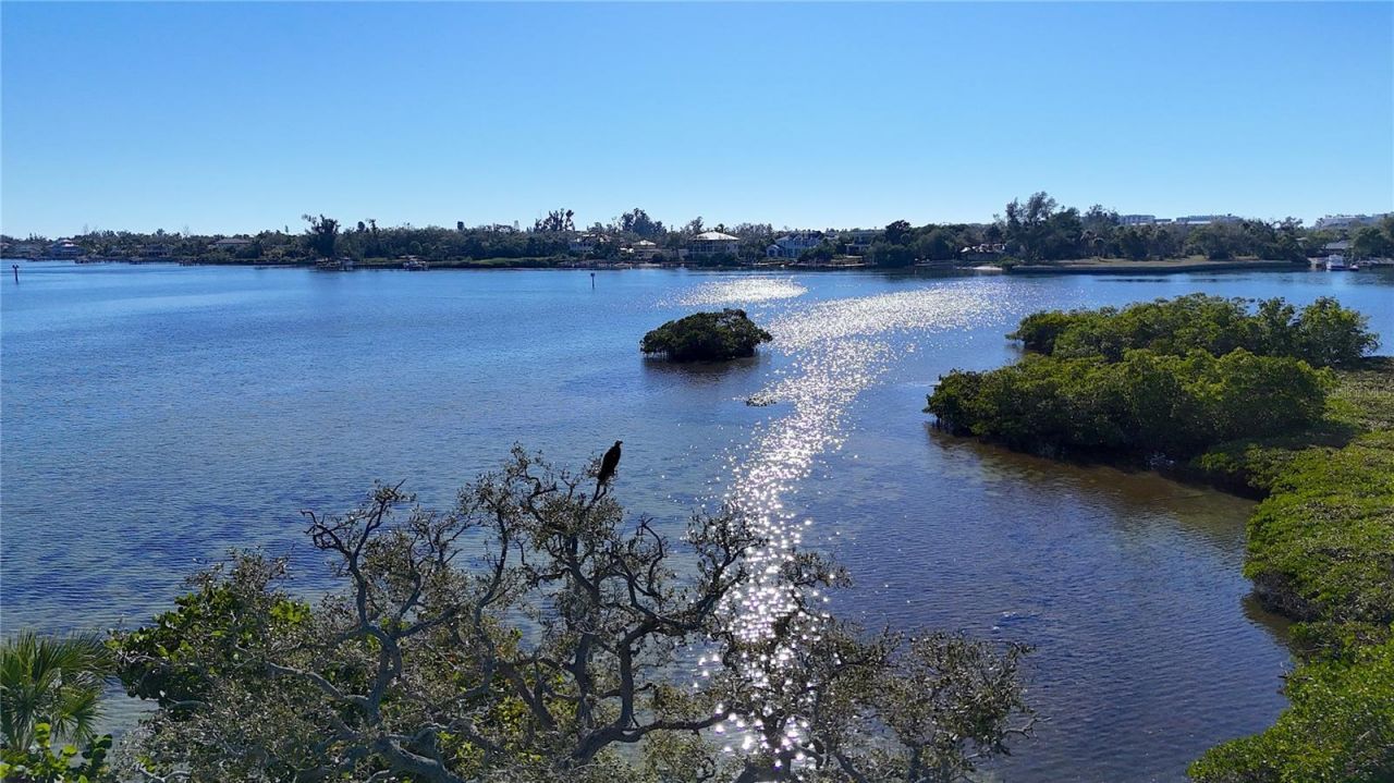 1621 Memory Lane, Sarasota, FL 34231 Photo