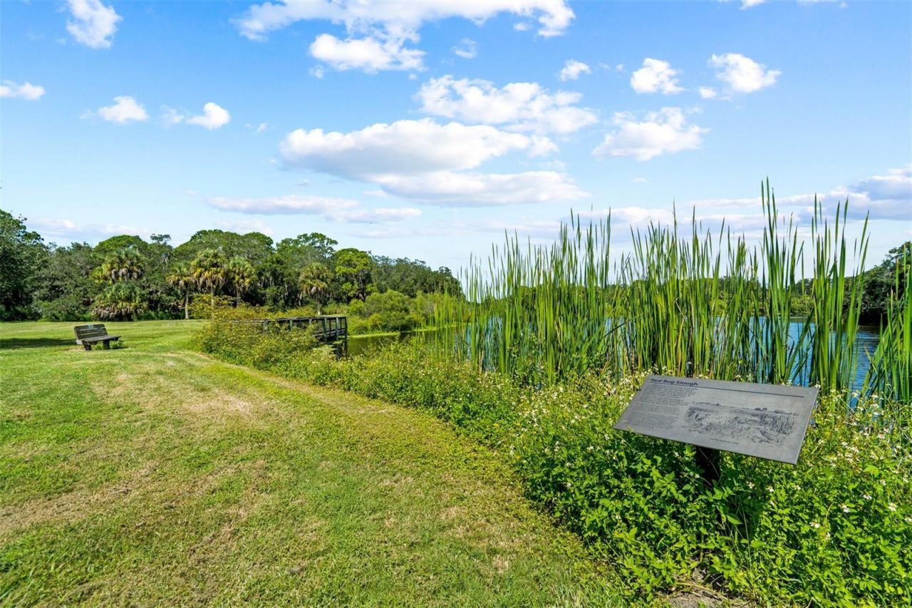 2911 Woodpine Court, Sarasota, FL 34231 Photo