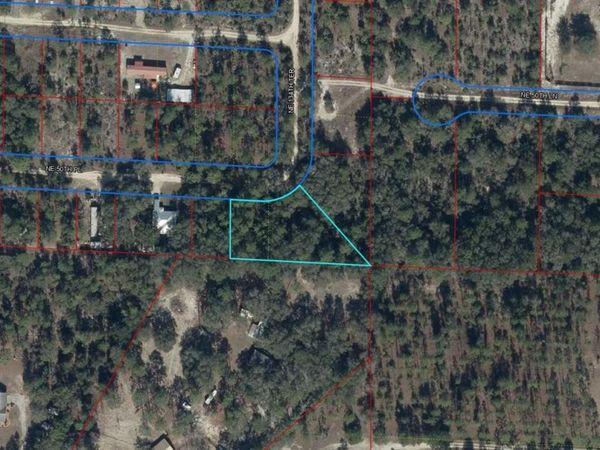 0 NE 50TH PLACE, WILLISTON, FL 32696