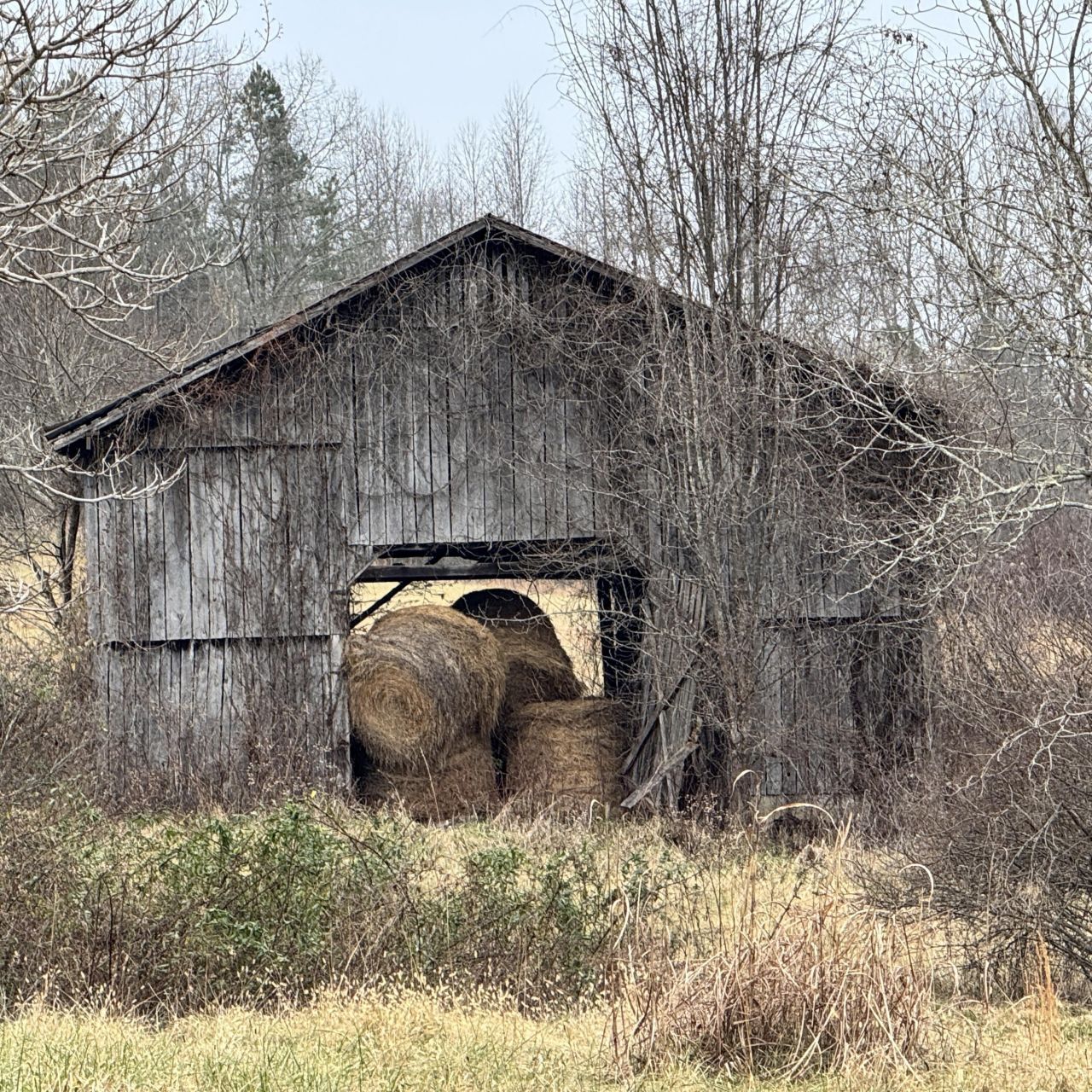 165 Kentucky Rte 233 Highway, Gray, KY 40734 Main Photo