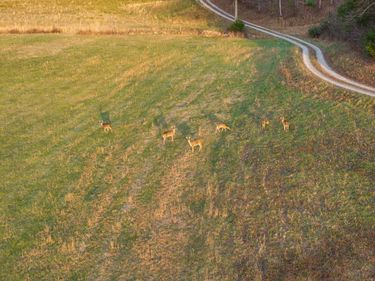 684 Martin Cemetary Road, Manchester, KY 40962