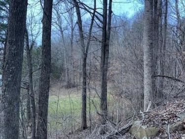 1.34 Acre King Mountain Road , Williamsburg, KY 40769