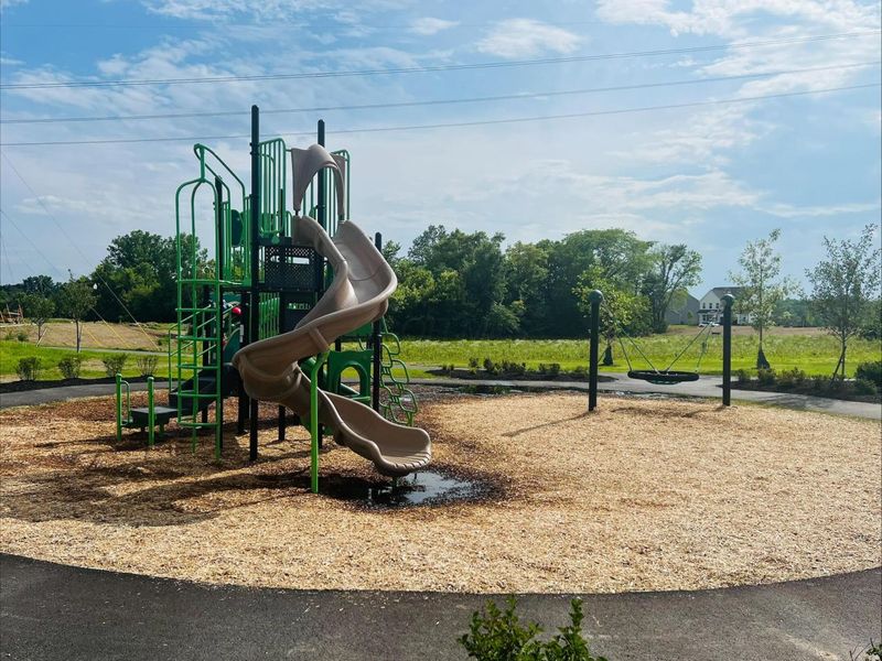 854 Ping Lane, Unit Lot 2445, Sunbury, OH 43074 Photo 62