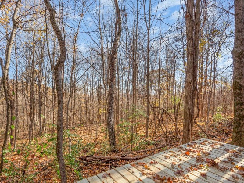 4790 Jester Hill Road, Paxton Twp, OH 45612 Photo 17