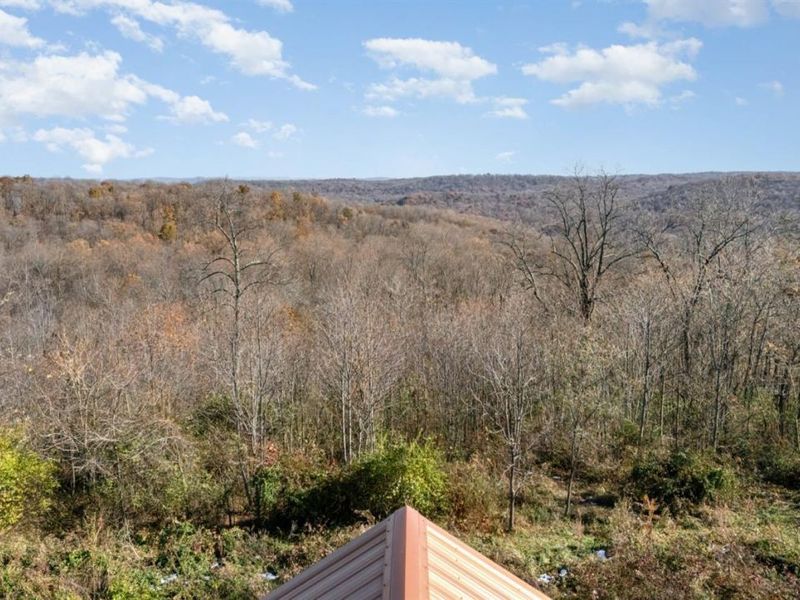 4790 Jester Hill Road, Paxton Twp, OH 45612 Photo 36