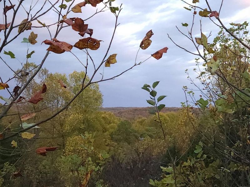 4790 Jester Hill Road, Paxton Twp, OH 45612 Photo 42